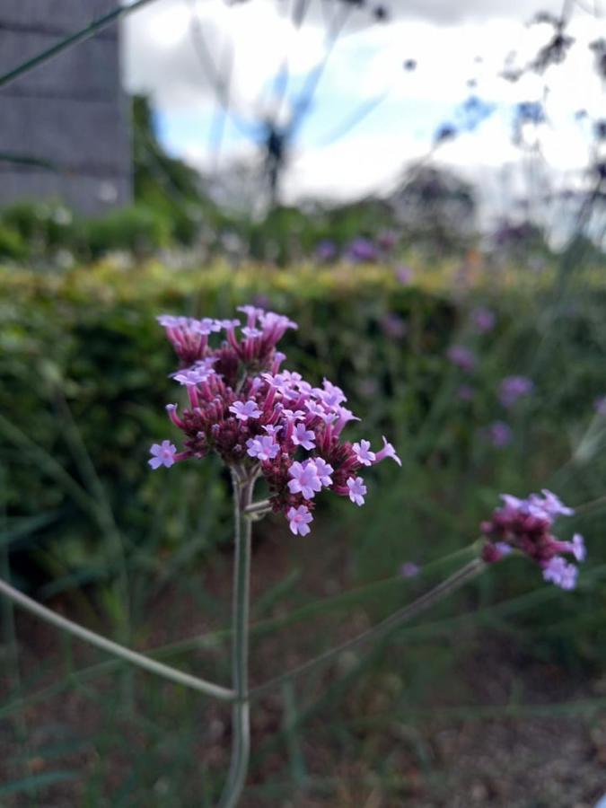 Вилла Le Jardin Des Fagnes Робертвиль Экстерьер фото
