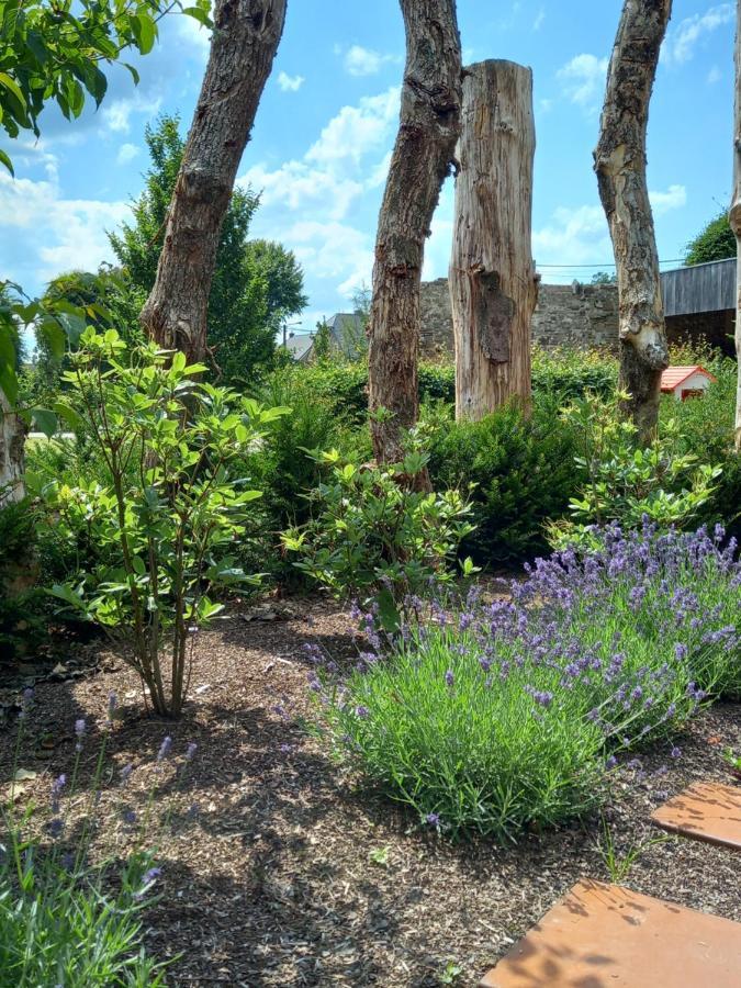 Вилла Le Jardin Des Fagnes Робертвиль Экстерьер фото